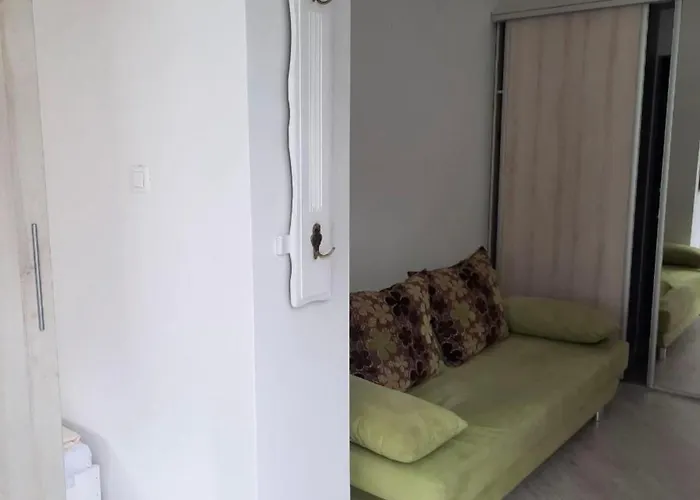 Wikoli 1 * Мендзыздрое